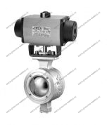 Клапан сегментный RV100D1-10C36G36W-S-YT-1000-FF-RF01 Camozzi